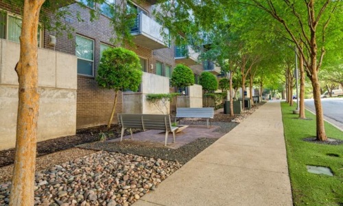 a sidewalk with benches and trees